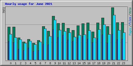 Hourly usage for June 2021