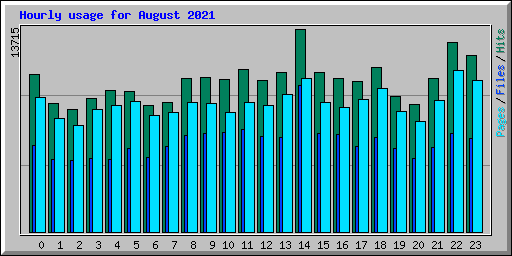 Hourly usage for August 2021