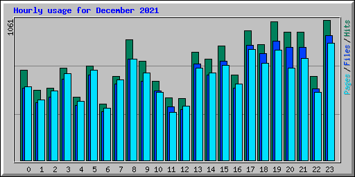 Hourly usage for December 2021